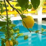 Wellness Kakadu كيستاي