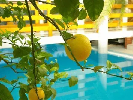 Wellness Kakadu ケストヘイ