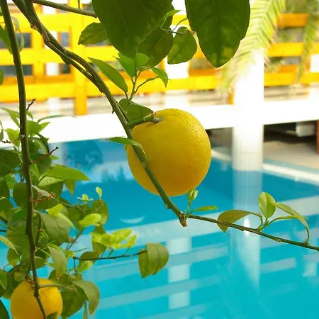 Wellness Kakadu