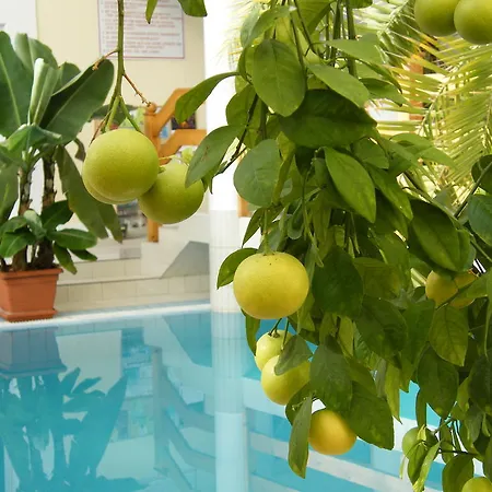 Wellness Kakadu 3*