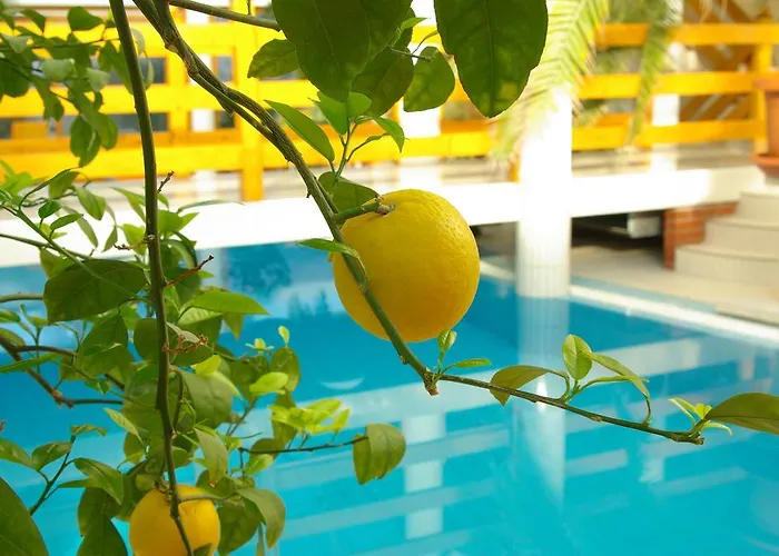 Wellness Kakadu